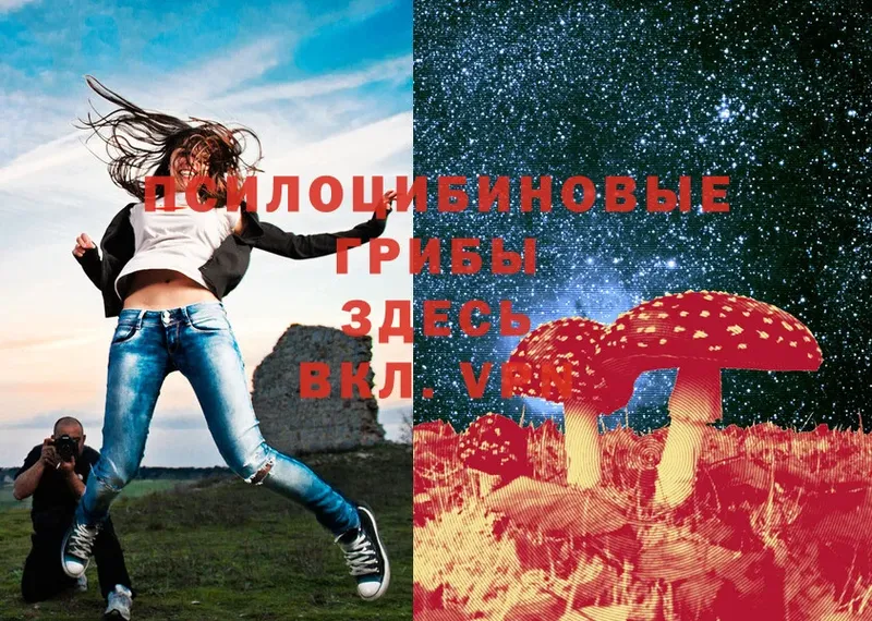 Псилоцибиновые грибы Magic Shrooms  Красавино 